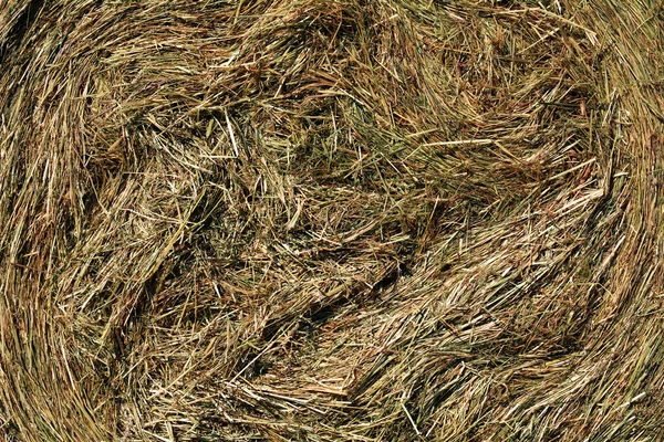 Hay side view — Stock Photo, Image