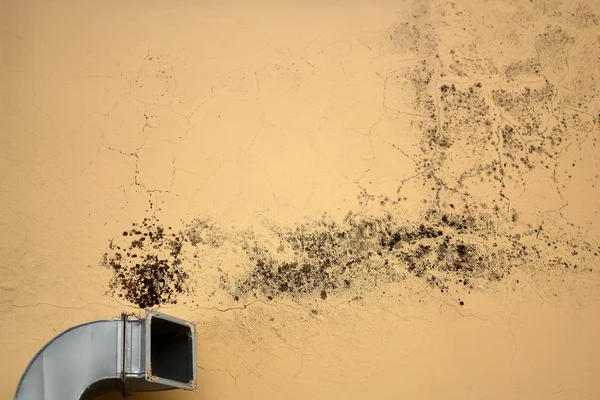 Ventilation causes mold — Stock Photo, Image