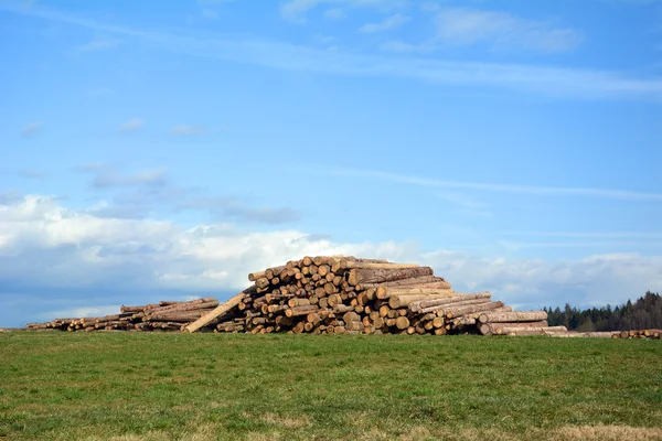 Woodpile Royalty Free Stock Photos