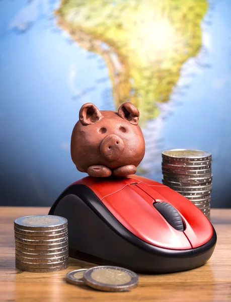 Brown piggy on mouse — Stock Photo, Image