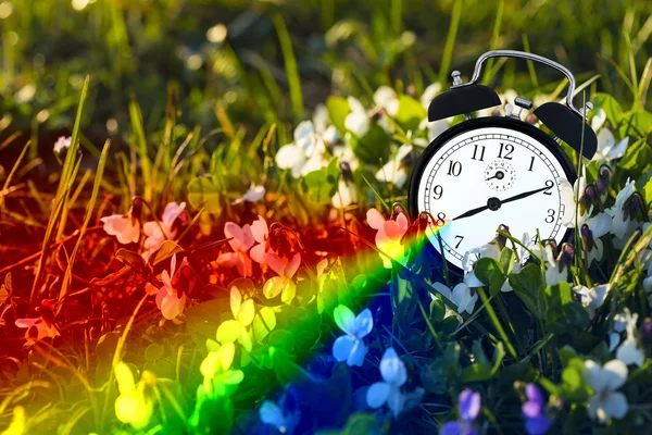 알람 시계와 꽃 — 스톡 사진