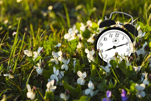 Relógio despertador e flores — Fotografia de Stock