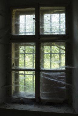 terk edilmiş eski penceresi