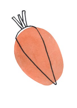 Beyaz arka planda izole edilmiş havuç. 