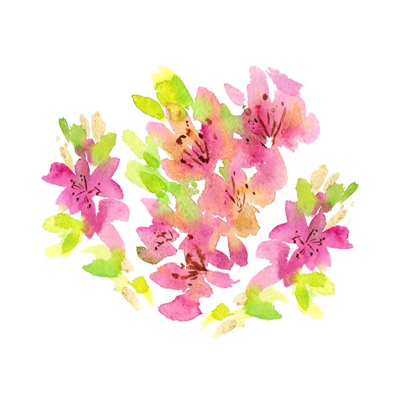 수채화를 자유 분방하게칠 한 꽃들. — 스톡 사진