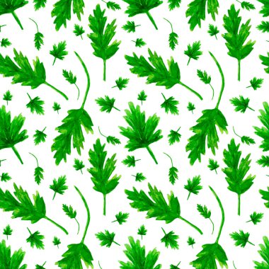 Beyaz arka planda maydanoz. Kusursuz desen.