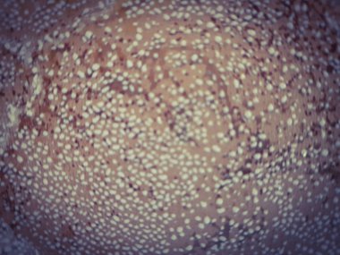 Soyut arkaplan. Vignetiroania.