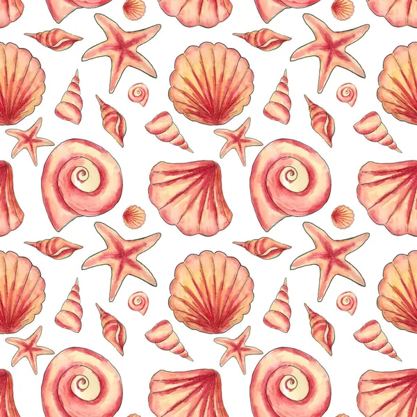 Exotic seashells. Seamless pattern. 