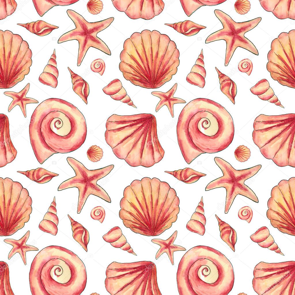 Exotic seashells. Seamless pattern. 