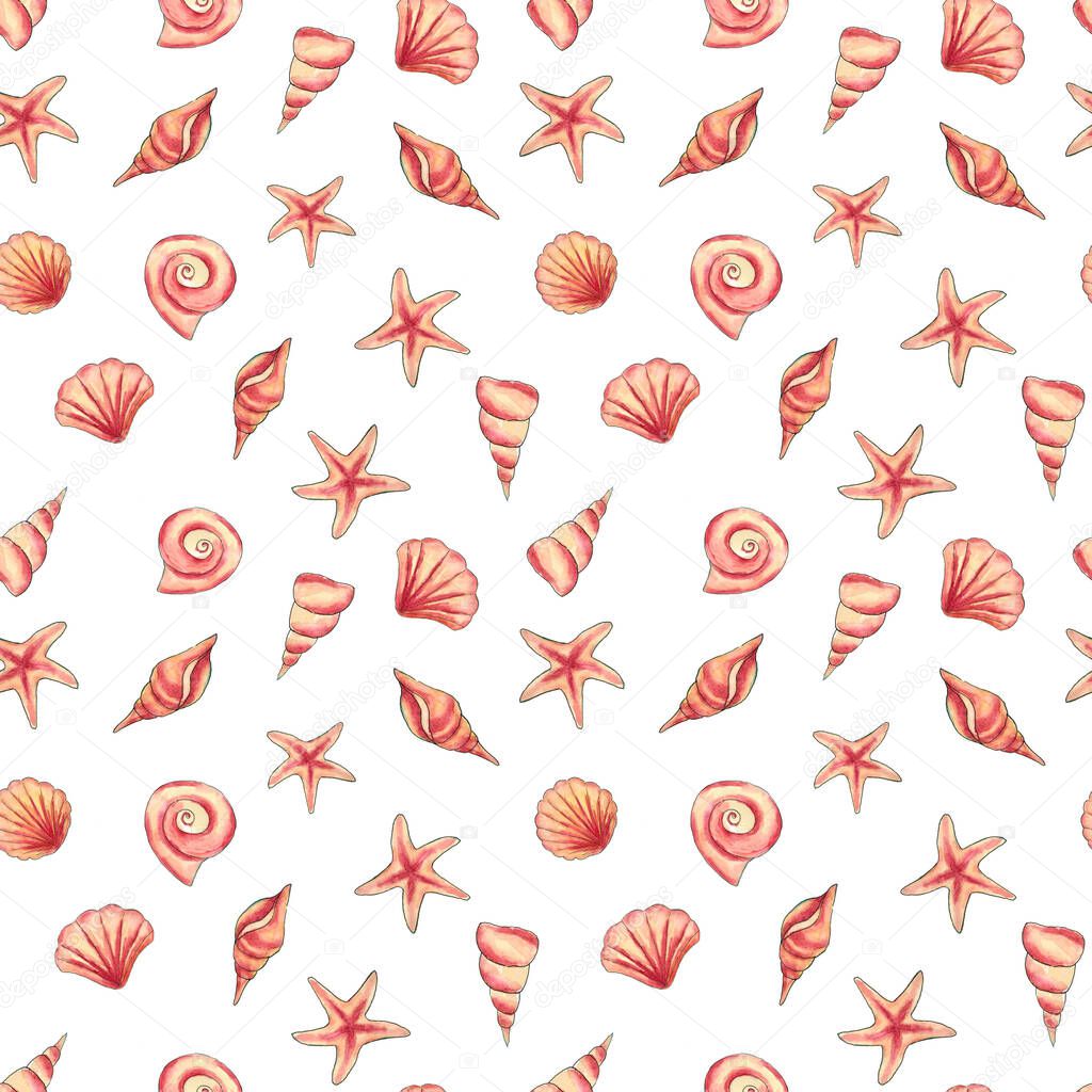 Exotic small seashells on a white background. Seamless pattern. 