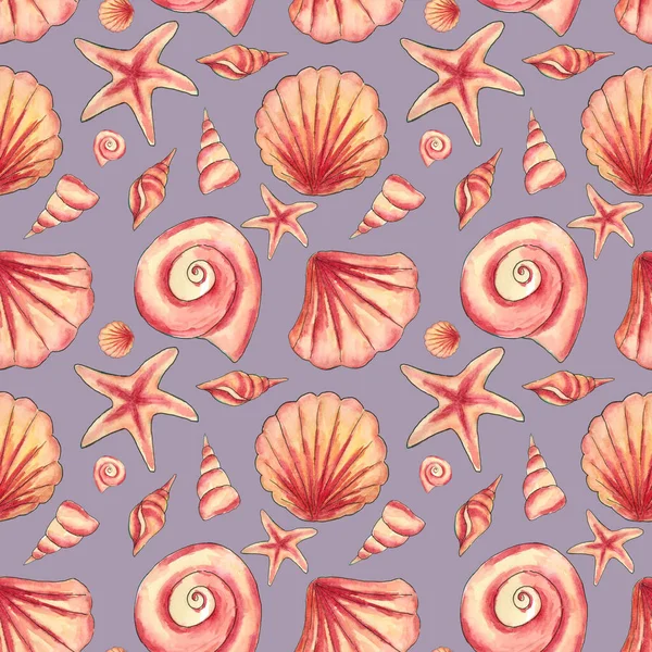 Conchas marinas exóticas. Patrón sin costuras. Fondo gris lila con conchas. — Foto de Stock