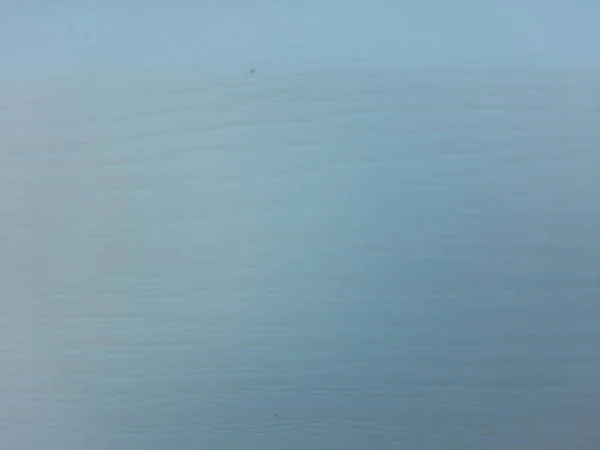 Fundo abstrato azul. Madeira azul. — Fotografia de Stock