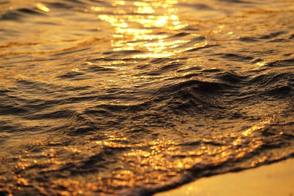 Indrukwekkende Zonsondergang Silhouet Het Strand — Stockfoto