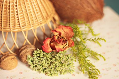 Kuru gül, Hindistan cevizi ve bitkiler