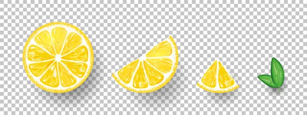 Lemons Fresh Citrus Half Sliced Lemons Chopped Lemon Vector Illustration — Stock Vector