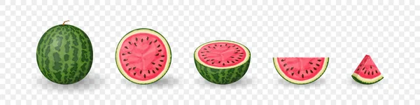 Watermelon Set Set Fruits Summer Fruit Collection Transparent Background Vector — Archivo Imágenes Vectoriales