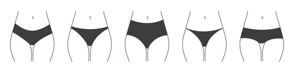 不同类型的内裤 女士内衣系列女性内裤的矢量轮廓 — 图库矢量图片
