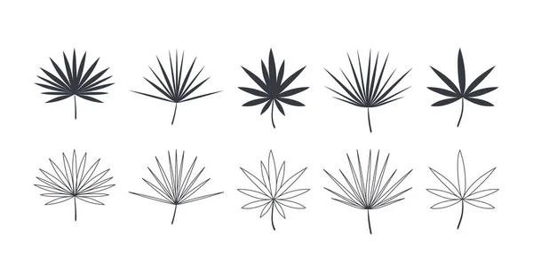 Feuilles Palmier Vert Tropical Ensemble Icônes Feuilles Style Linéaire Plat — Image vectorielle