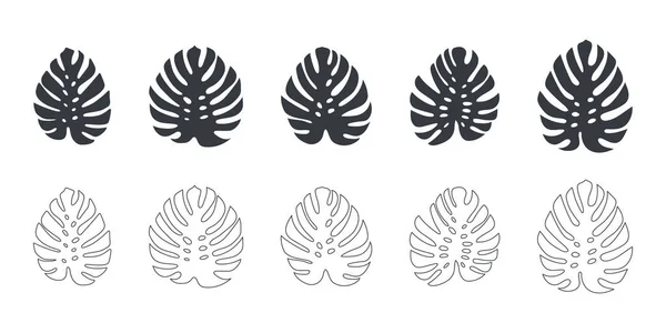 Hojas Tropicales Hojas Monstera Conjunto Hojas Iconos Estilo Lineal Plano — Vector de stock