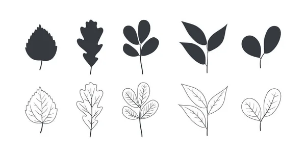 Выходит Икона Оставляет Силуэт Листья Деревьев Разных Типов Осенью Летом — стоковый вектор