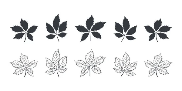 Выходит Икона Листья Деревьев Разных Типов Осенью Летом Векторная Иллюстрация — стоковый вектор