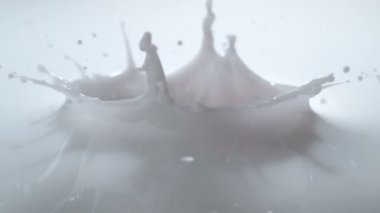 Süt düşen blackberry