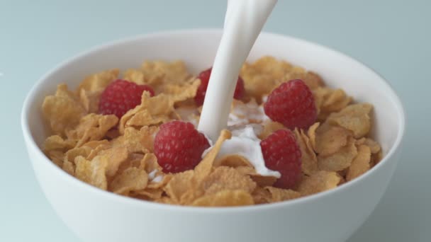 Flocons de maïs versant avec du lait 