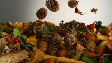 Sonbaharın nesneleri