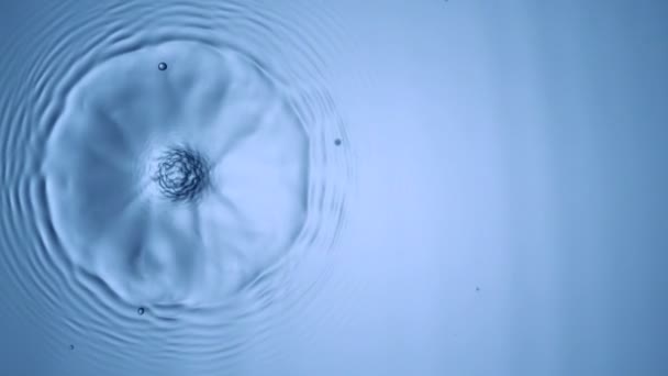 Water drops rippling — Stock Video