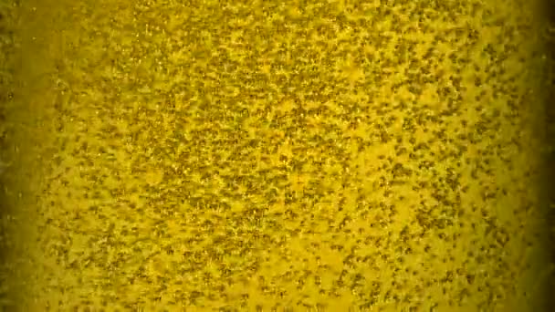 bulles de bière en verre 