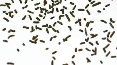 Çikolata pul havada düşüyor