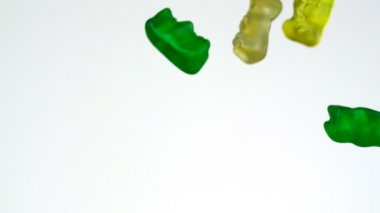 Sakızlı ayı havada düşüyor