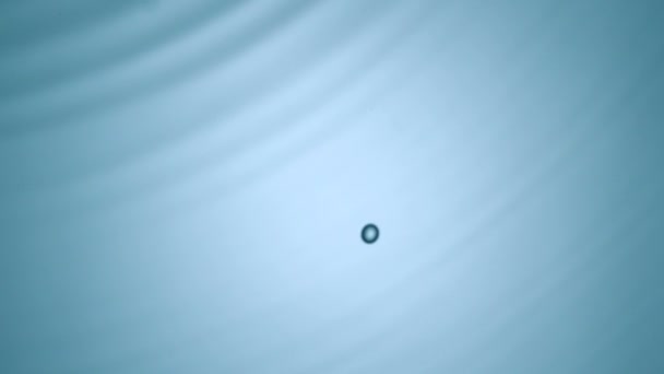 Water drops rippling — Stock Video