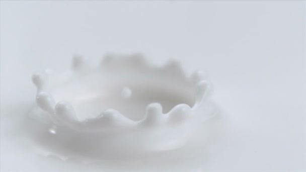 Leche gota de leche — Vídeos de Stock