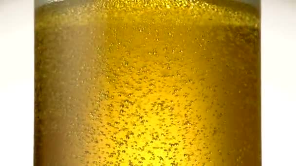 Bier bubbels in glas — Stockvideo