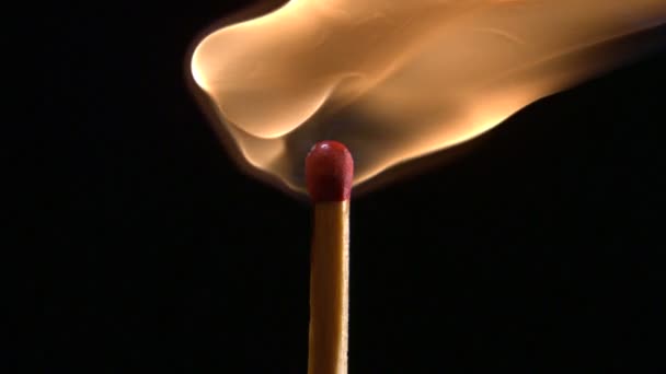 Igniting matchstick — Stock Video