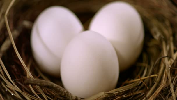 Три яйца в гнезде — стоковое видео