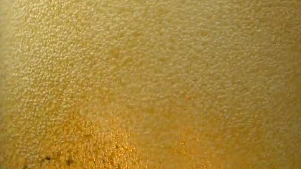 Bier bubbels in glas — Stockvideo