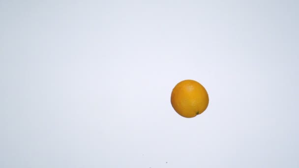 ORANGE FALLING IN TO WATER . — Vídeo de Stock