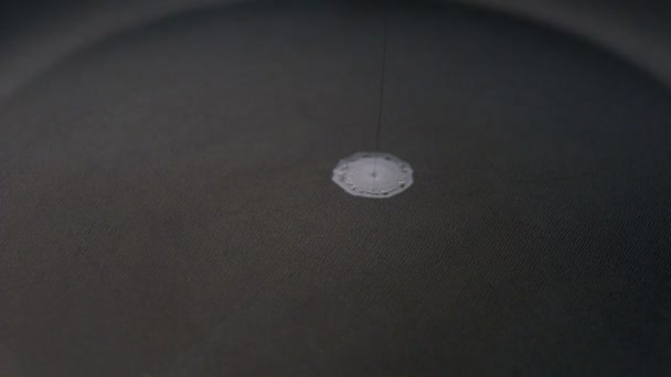 Cuisines aux œufs sur poêle 