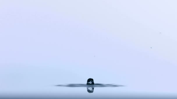Kapka bít vody — Stock video