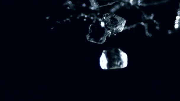 Rain droplets — Stock Video