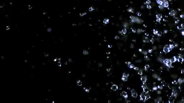 Eau contre la goutte noire 