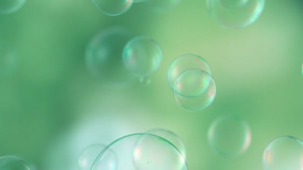 Burbujas de jabón flotando alrededor — Vídeo de stock