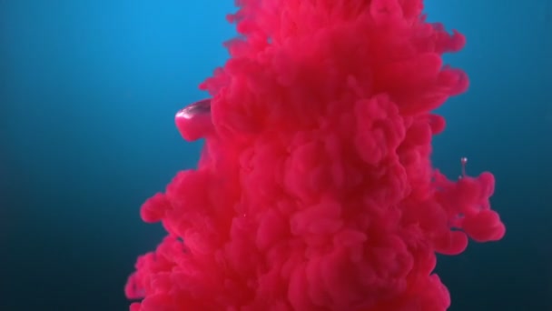 粉红色的墨水在水中 — 图库视频影像
