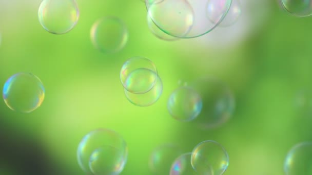 Soap bubbles floating around — Stock Video