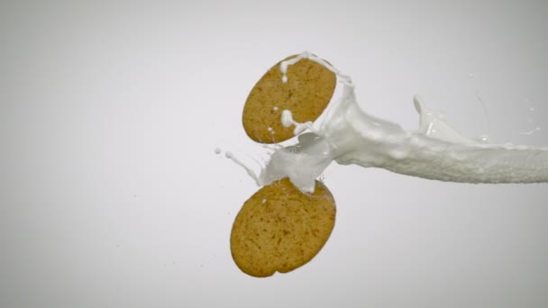 Mjölk splash och cookie — Stockvideo