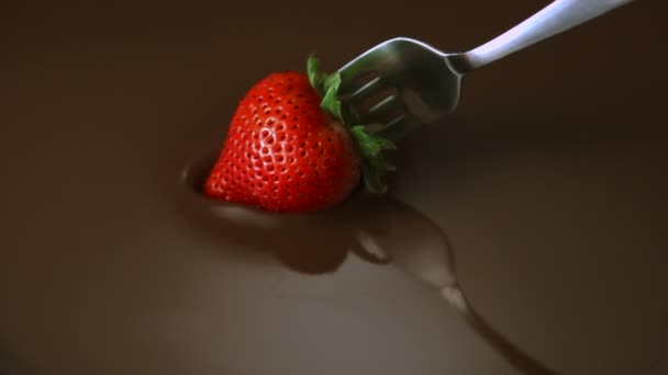 Dipping strawberry into chocolate — Stock Video