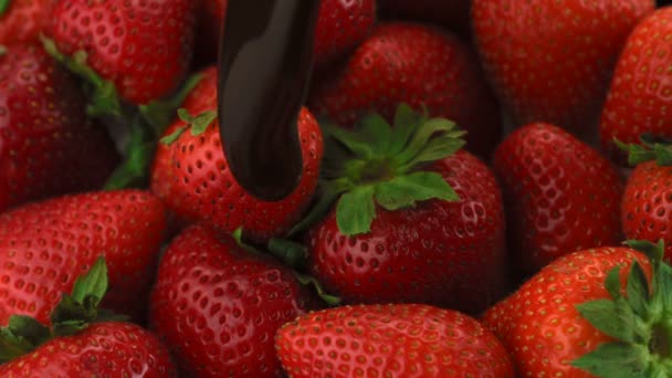 Chocolate sauce on strawberry — Stock Video