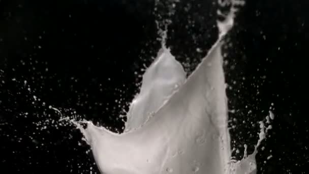 白色油漆飞溅在空气中 — 图库视频影像